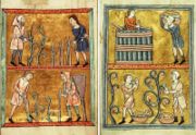 Illustrations du travail de la vigne dans un manuscrit du XIIe si�cle